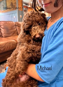 Michael