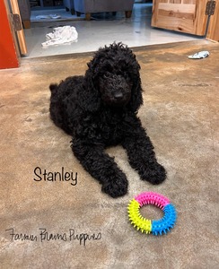 Stanley