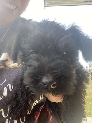 Jet