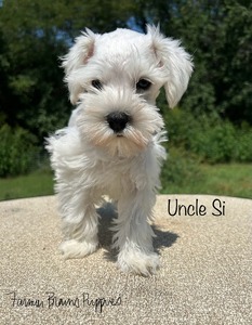 Uncle Si