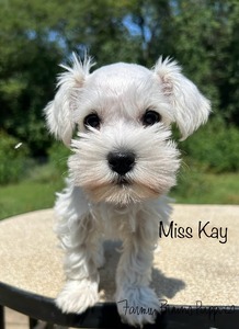 Miss Kay