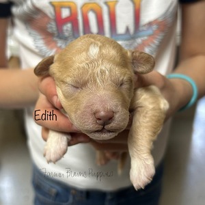 Edith