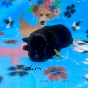 Valerie