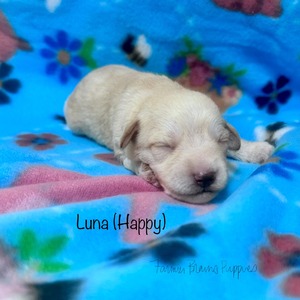 Luna