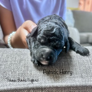 Patrick Henry