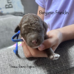 Benjamin Franklin