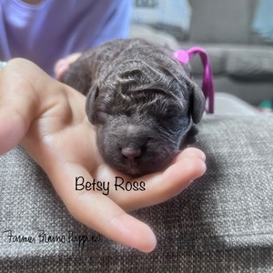 Betsy Ross