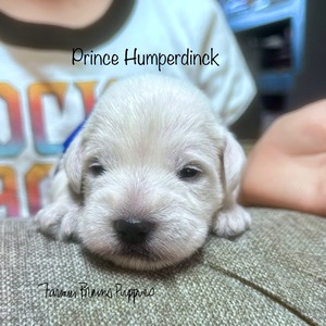 Prince Humperdinck