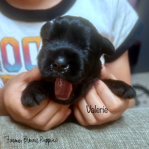 Valerie