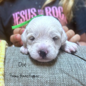 Doc