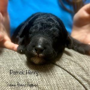 Patrick Henry