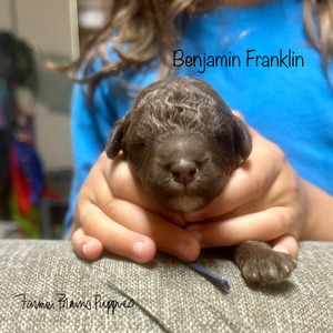 Benjamin Franklin