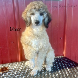 Margo