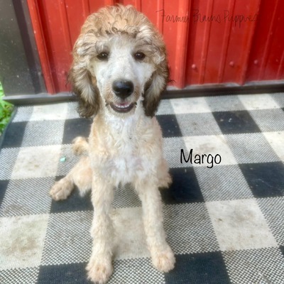 Margo
