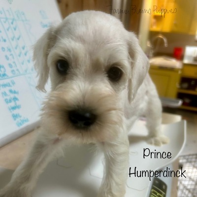 Prince Humperdinck
