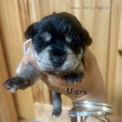 Majorie