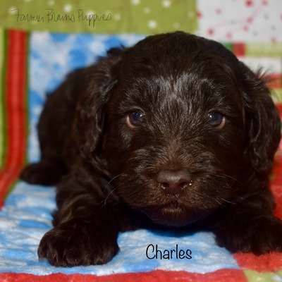 Charles