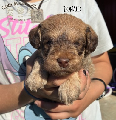 Donald