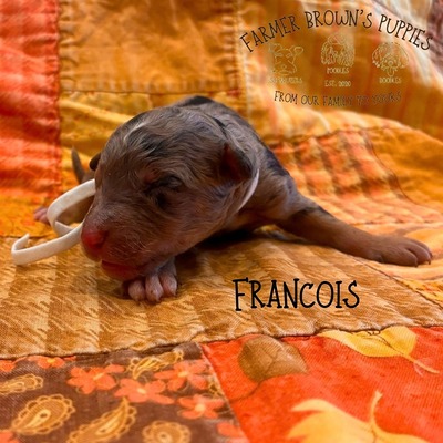 Francois
