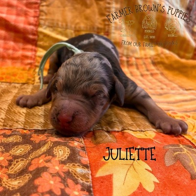 Juliette