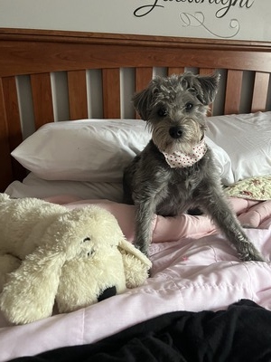 Chloe