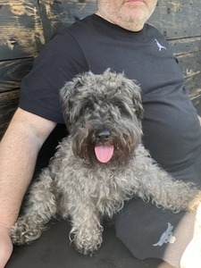 Winston