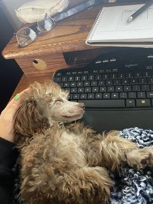Chewy