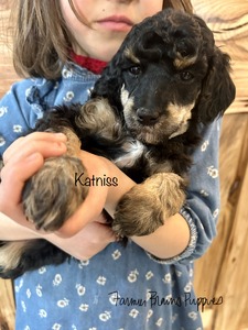 Katniss