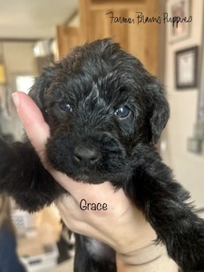 Grace