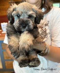 Theodore