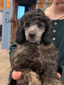 Luke