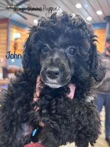 John